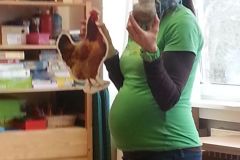 2017-04-18 Slepičky a kuřátka v družině