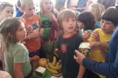 2018-06-14 Ovoce a zeleniny do škol