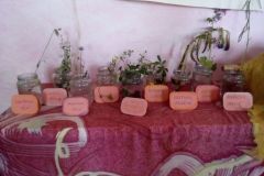 IMG_20190621_151513