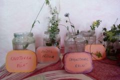 IMG_20190621_151543