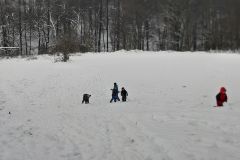 2021-01-21 Sníh v Třebušíně