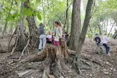 IMG-20220902-WA0023