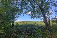 IMG_20220902_112136