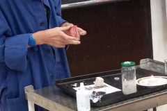 IMG-20220914-WA0003