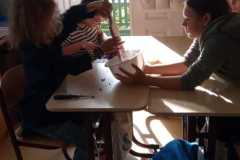 IMG-20220916-WA0012