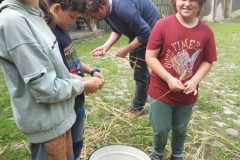 IMG-20230616-WA0002