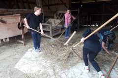 IMG-20230616-WA0003