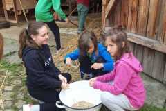 IMG-20230616-WA0004