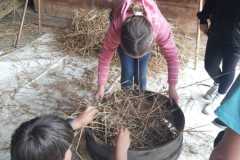 IMG-20230616-WA0006