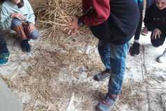 IMG-20230616-WA0007