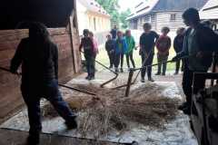 IMG-20230616-WA0008