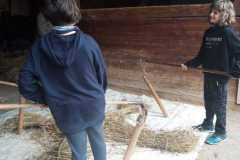 IMG-20230616-WA0011