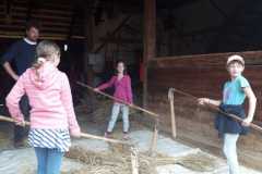 IMG-20230616-WA0012