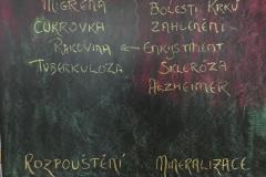 IMG-20220921-WA0002