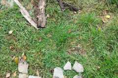IMG-20221004-WA0007