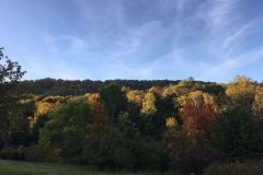 IMG-20221004-WA0012