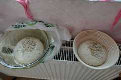 IMG-20221006-WA0004