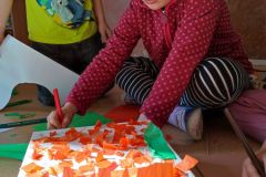 IMG_20221011_122649