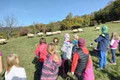 2022-10-12 Farma oveček na Hlinné