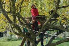 IMG-20221012-WA0007