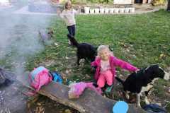 IMG-20221012-WA0009