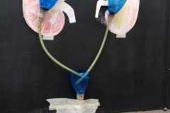 2022-10-20 Epocha biologie