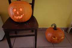 IMG-20221031-WA0005