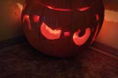 IMG-20221031-WA0007