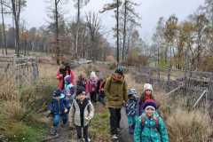 IMG-20221104-WA0034