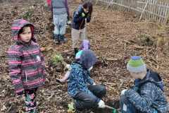 IMG-20221104-WA0036
