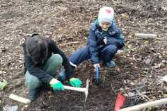 IMG-20221104-WA0037