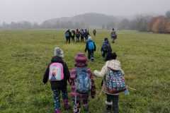 IMG-20221104-WA0000