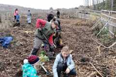 IMG-20221104-WA0035