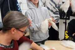 IMG-20221104-WA0012