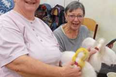 IMG-20221104-WA0014
