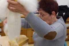 IMG-20221104-WA0015