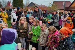 IMG_20221111_155550
