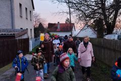 IMG_20221111_162230