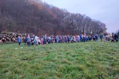 IMG_20221111_163458
