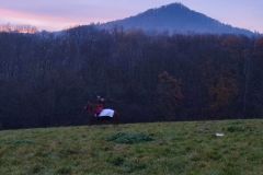 IMG_20221111_164044