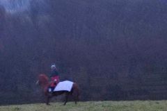 IMG_20221111_164048