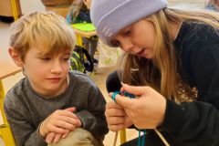 IMG_20221125_112225