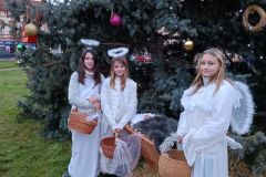 IMG_20221126_155235