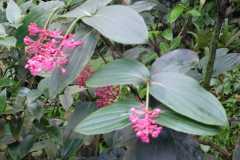 IMG-20221129-WA0015