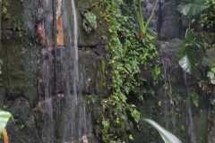 IMG-20221129-WA0017
