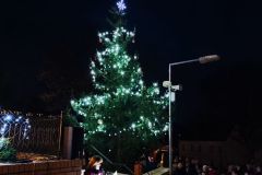 IMG_20221130_170355