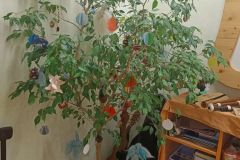 IMG_20221221_102052