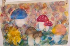 IMG_20230124_141147