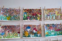 IMG_20230321_075521