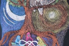 IMG_20221214_114659